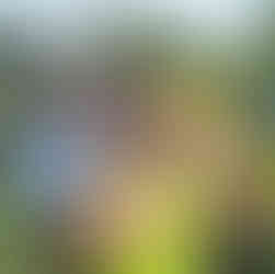 Crew at the table learning from guest speaker