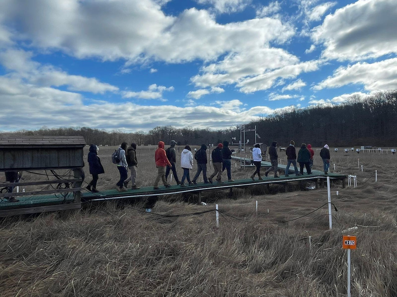 SERC marsh tour, side view of crew walking out on marsh over wooden platform