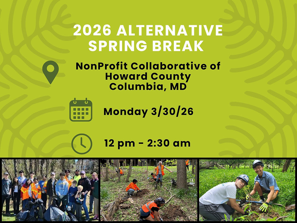 Alternative Spring Break | NonProfit Collaborative | Monday Afternoon