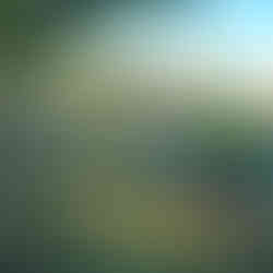 Leadership-U Tree Planting student volunteers planting trees