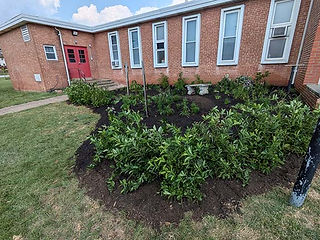Side Entrance Garden Finished