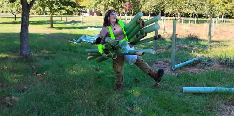 Forest Management at Holly Hills