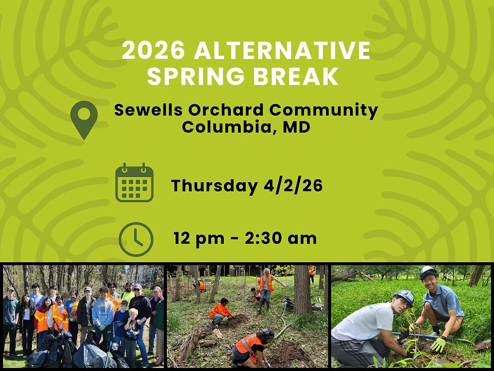 Alternative Spring Break | Sewells Orchard Community | Thursday Afternoon