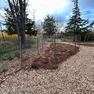 View of an elongated conservation meadow installation with young plants