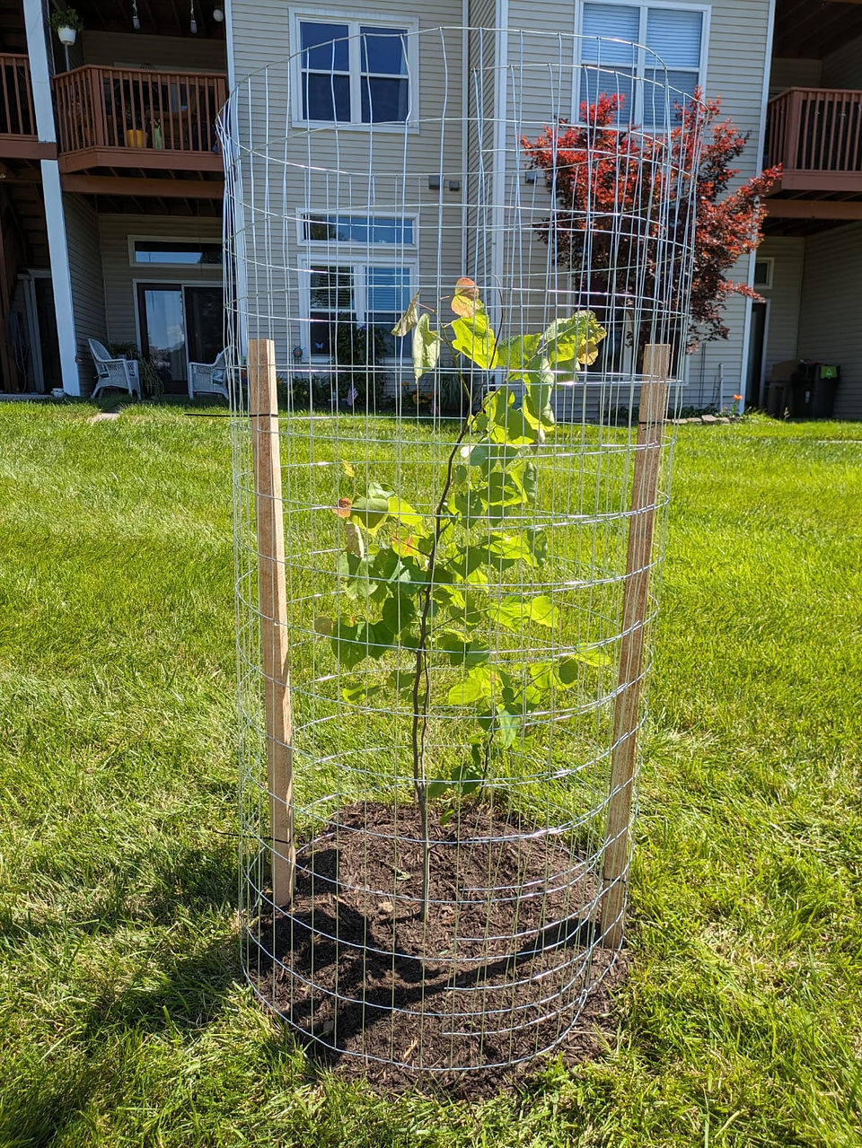 Private Residence Tree Plantin