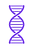 Genetic Testing from Pure DNA Lab