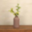 Thumbnail: digital instruction greenery no. 1