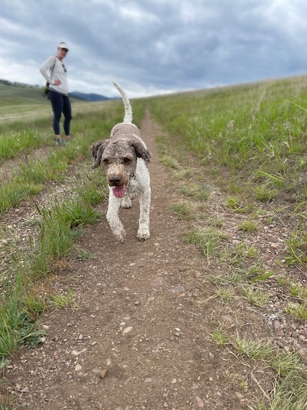 Hiking in Missoula, Montana