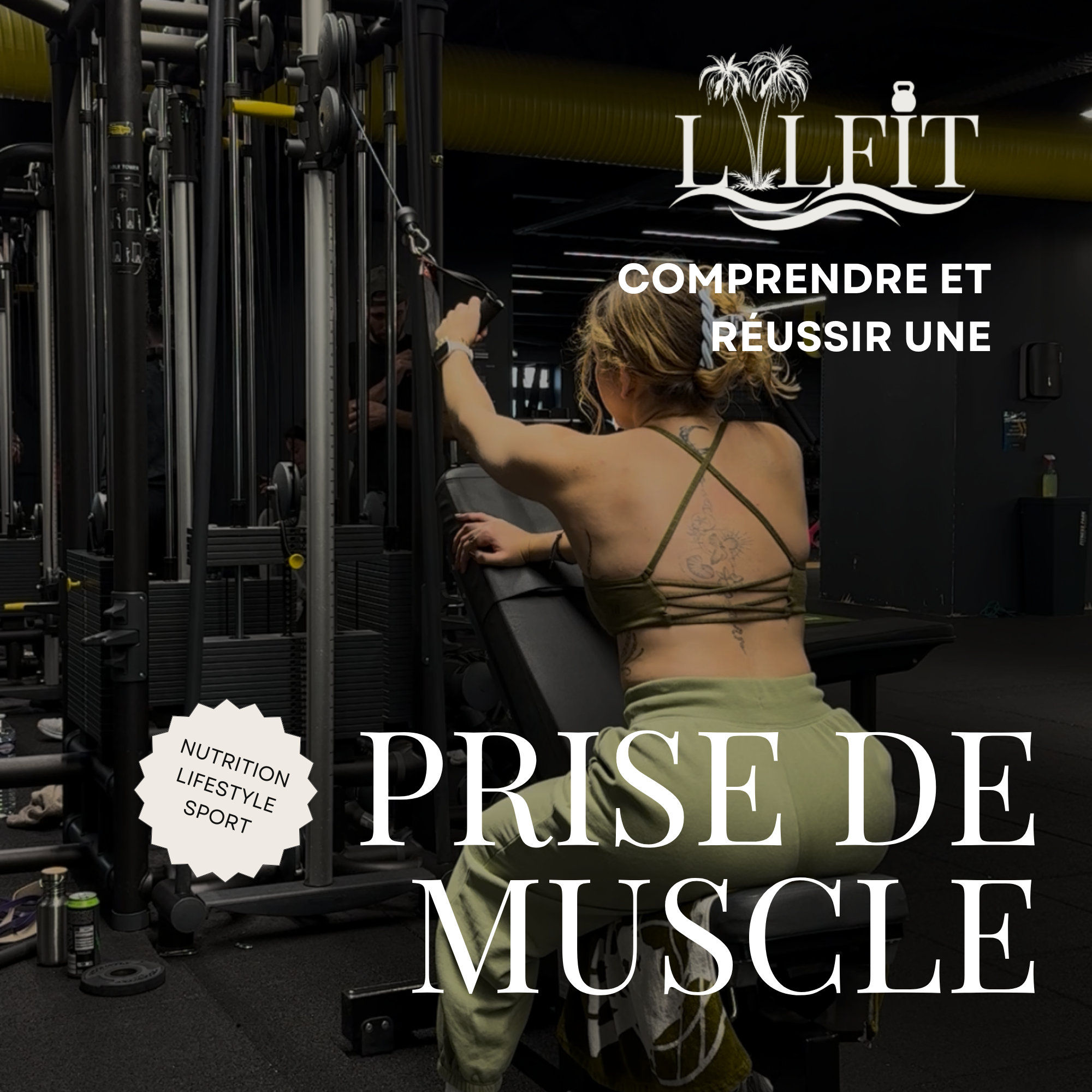 PROGRAMME PRISE DE MUSCLE