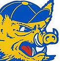 texas a&m kingsville logo.jpg