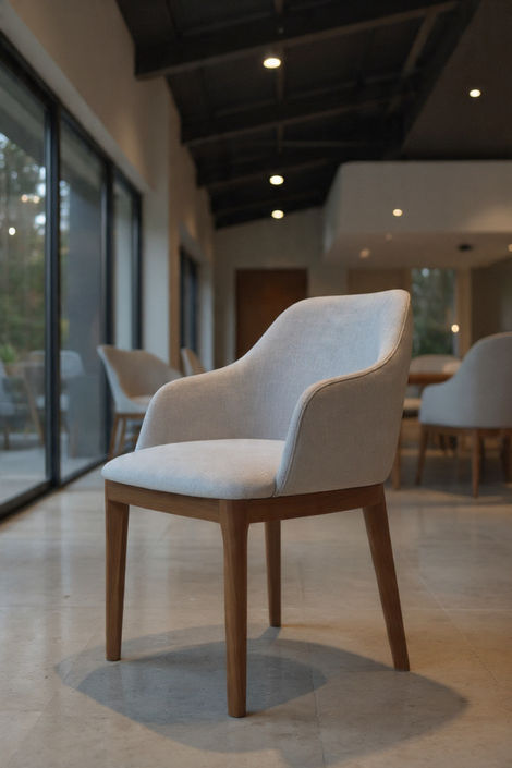 replace-the-background-with-a-modern-luxury-house- (4)