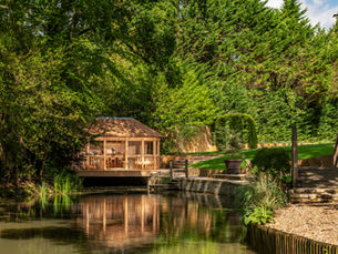 Tuintrends voor de Zomer van 2024 Onthuld