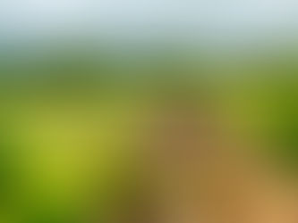 Luxe en Multifunctionele Tuinpaviljoenen: De Nieuwe Woontrend