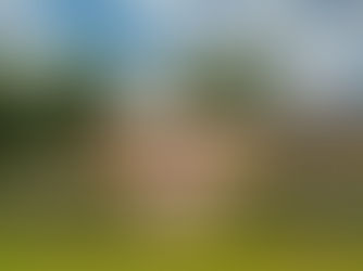 Optimaliseer Uw Buitenruimte: Ultieme Gids voor Luxe Tuinkamers