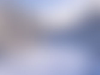 Snow covered evergreen forest illustrating winter depression and Seasonal Affective Disorder treatment in Bethesda Maryland