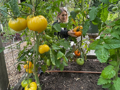 Heirloom-Tomatoes.jpg
