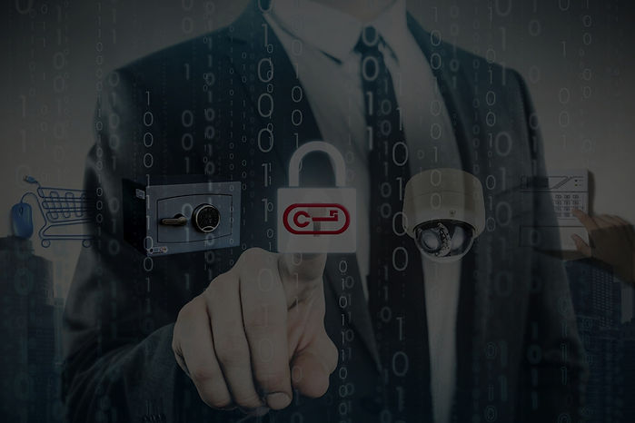 security montage of shopping online