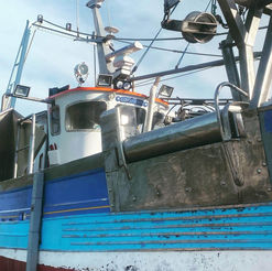 Gunnel roller on the side of a fishing boat
