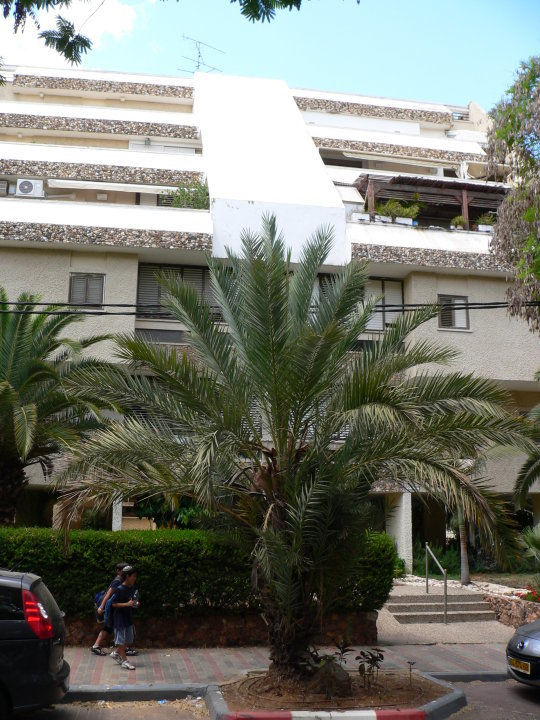 רחוב מקליס, כפר גנים