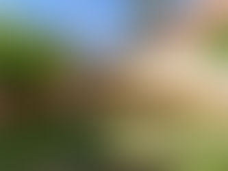 Featured Property of the week 