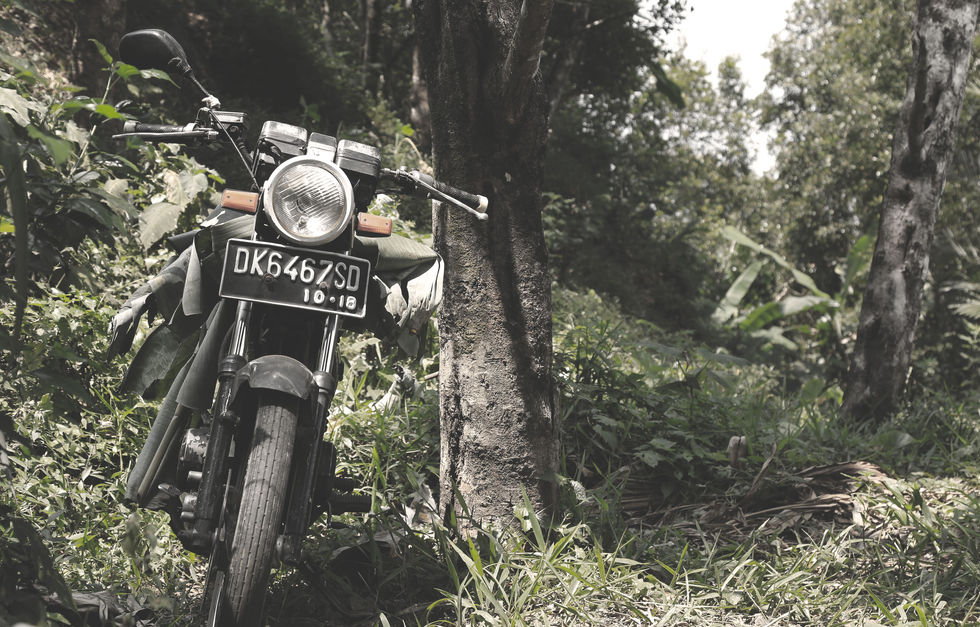 Bali_MotorBike_jungle