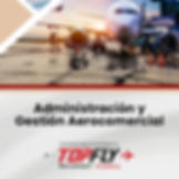 Administración y Gestión Aerocomercial