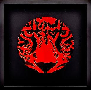 IMG_1643 TIGER 3.jpeg