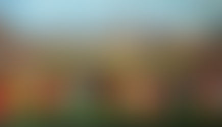 Echoes of Elegance: The Story of Trinidad's Magnificent Seven