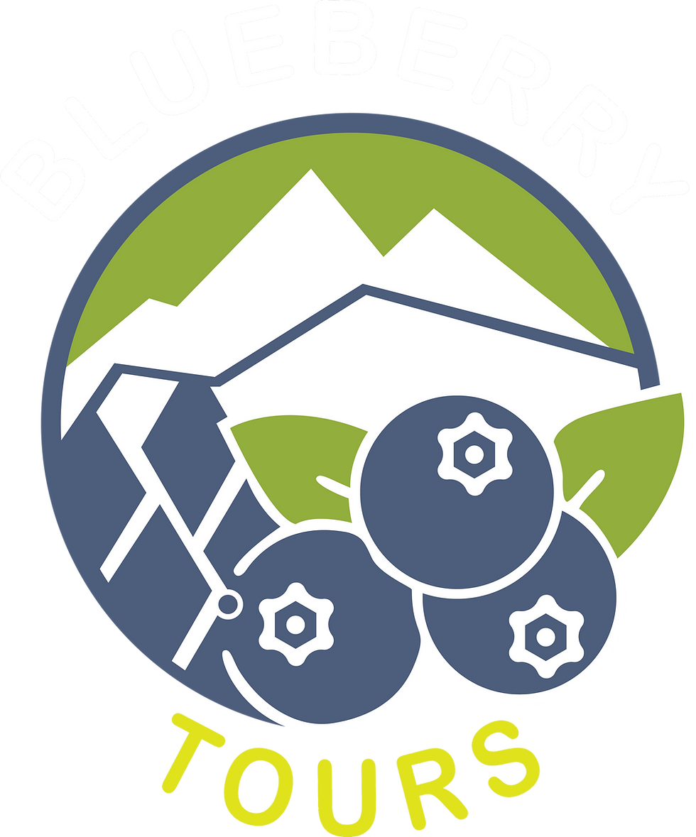 BLUE BERRY TOURS.png