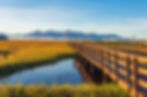 AdobeStock_512676769.jpeg