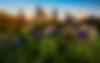 AdobeStock_495560093.jpeg