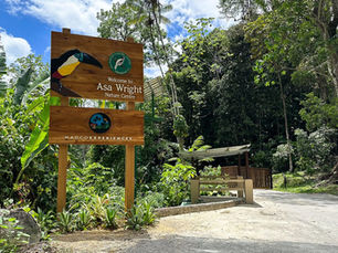 Exploring Nature's Haven: Asa Wright Center, Trinidad