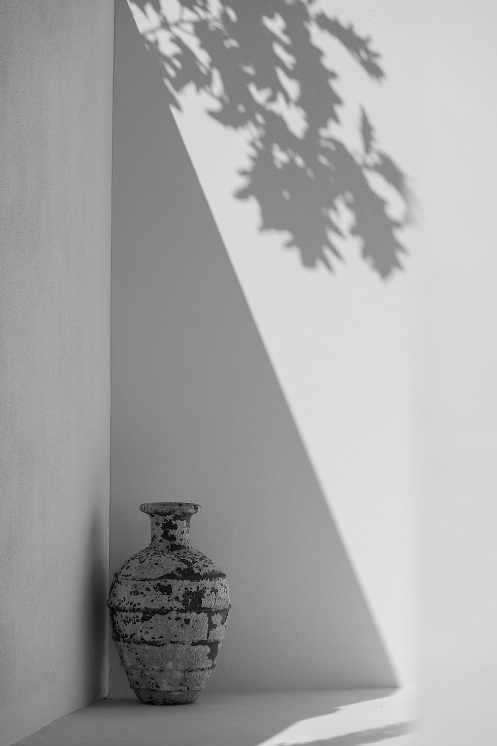 Ornate vase, leaf shadows, minimalist decor