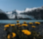 AdobeStock_595970992.jpeg