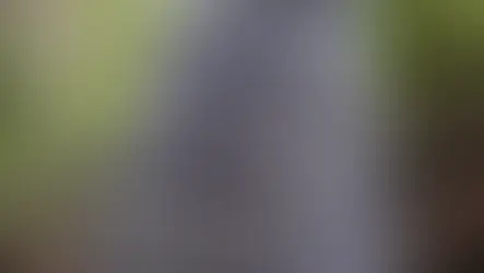 '거대' 쓰나미 과학