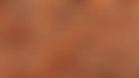 해안 종은 태평양 쓰레기 패치에서 번성합니다