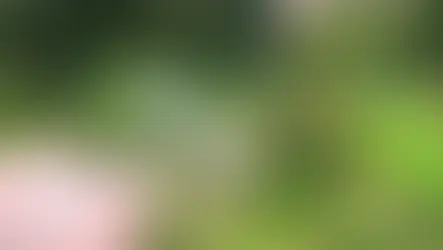 음식의 숲을 만드는 즐거움