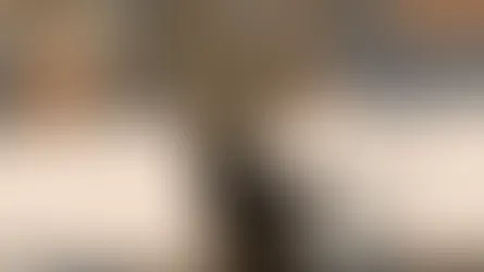 영국의 생물다양성 경제학 보고서: 자연은 자산인가, 아니면 귀중한가?