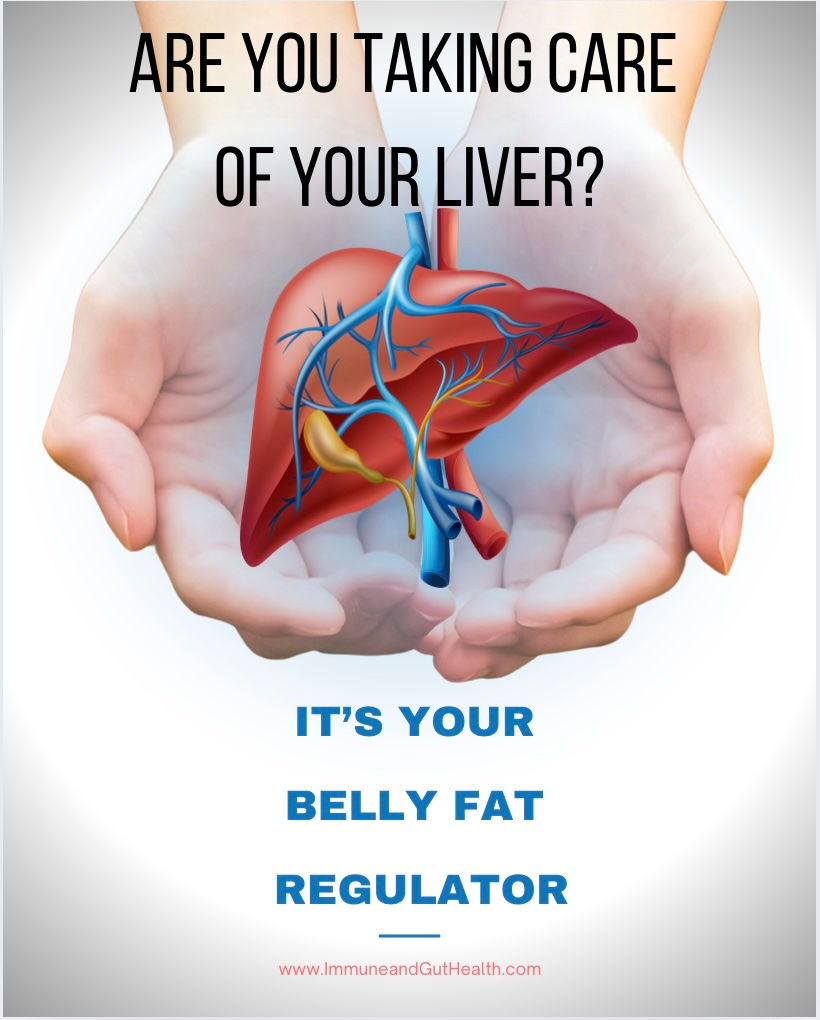 Your Liver Regulates Belly Fat