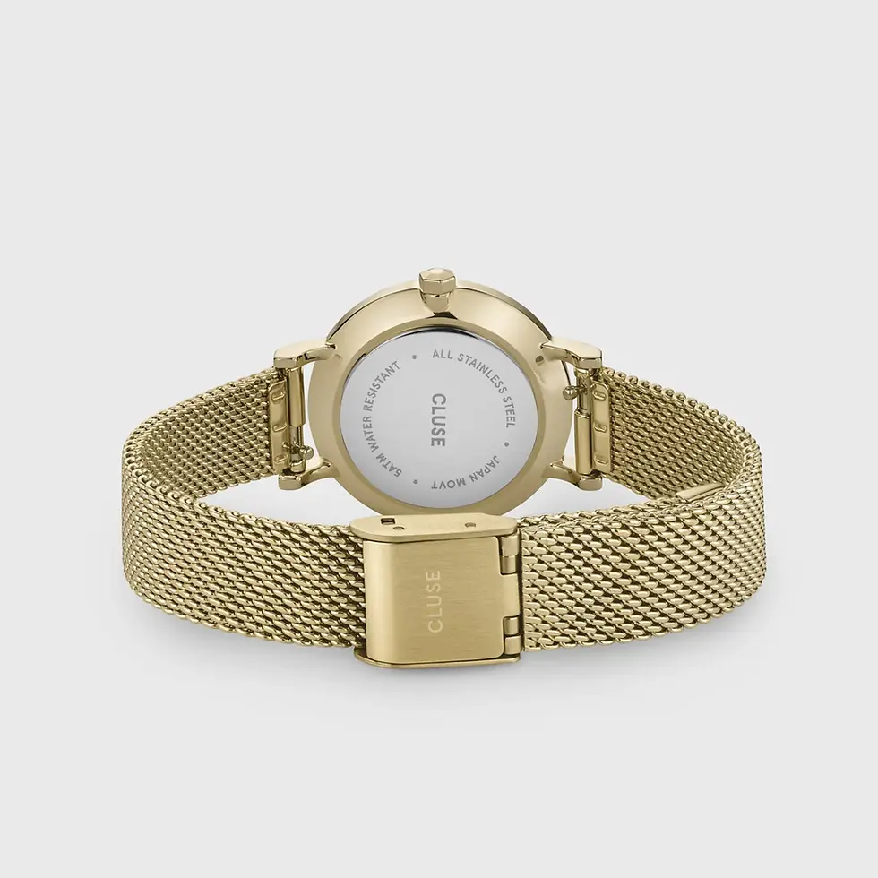 Miniatura: RELOJ CLUSE BOHO CHIC