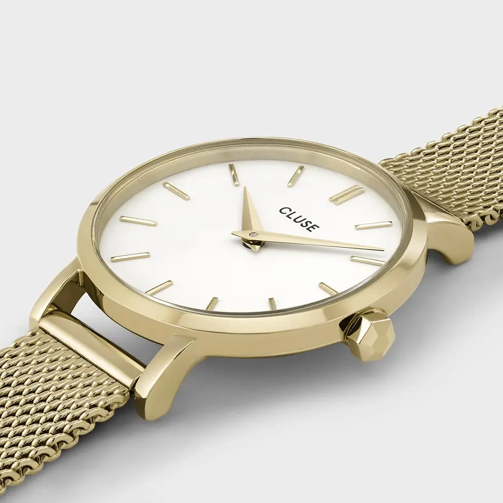 Miniatura: RELOJ CLUSE BOHO CHIC