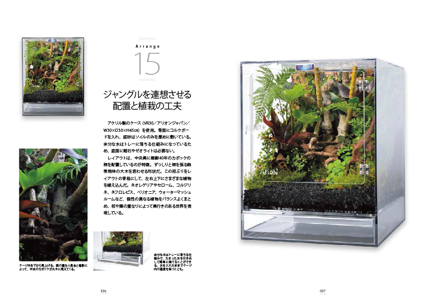 paludarium-media-repfan15