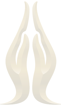 Logo_edited_edited_edited.png