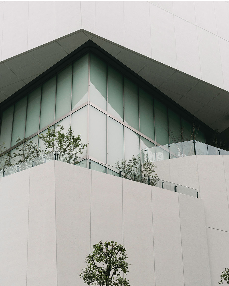 modern architecture building with trees urban photography