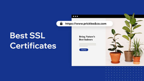 10 best SSL certificate providers to buy from