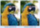 example of image optimization through JPEG compression