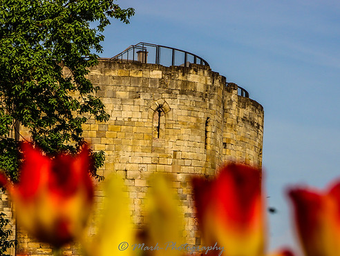 The Tower