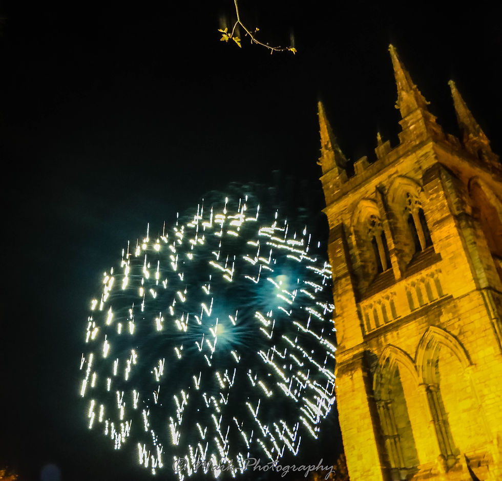 Fireworks_7.JPG