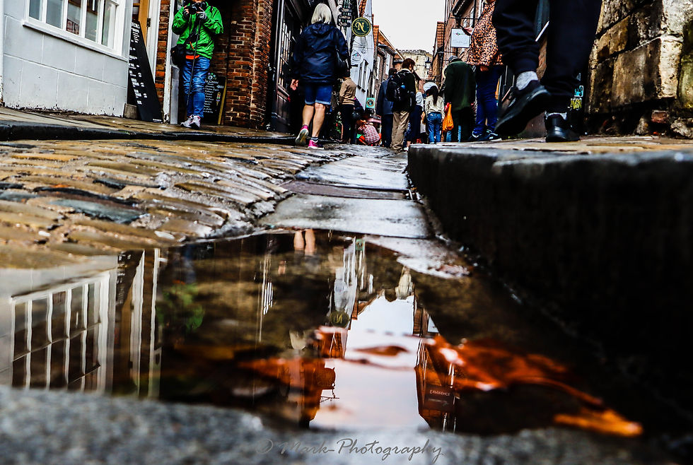 Puddles9.JPG