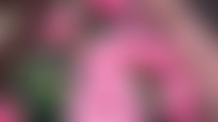 Mães que dançam sozinhas: a experiência de mães solo artistas da dança